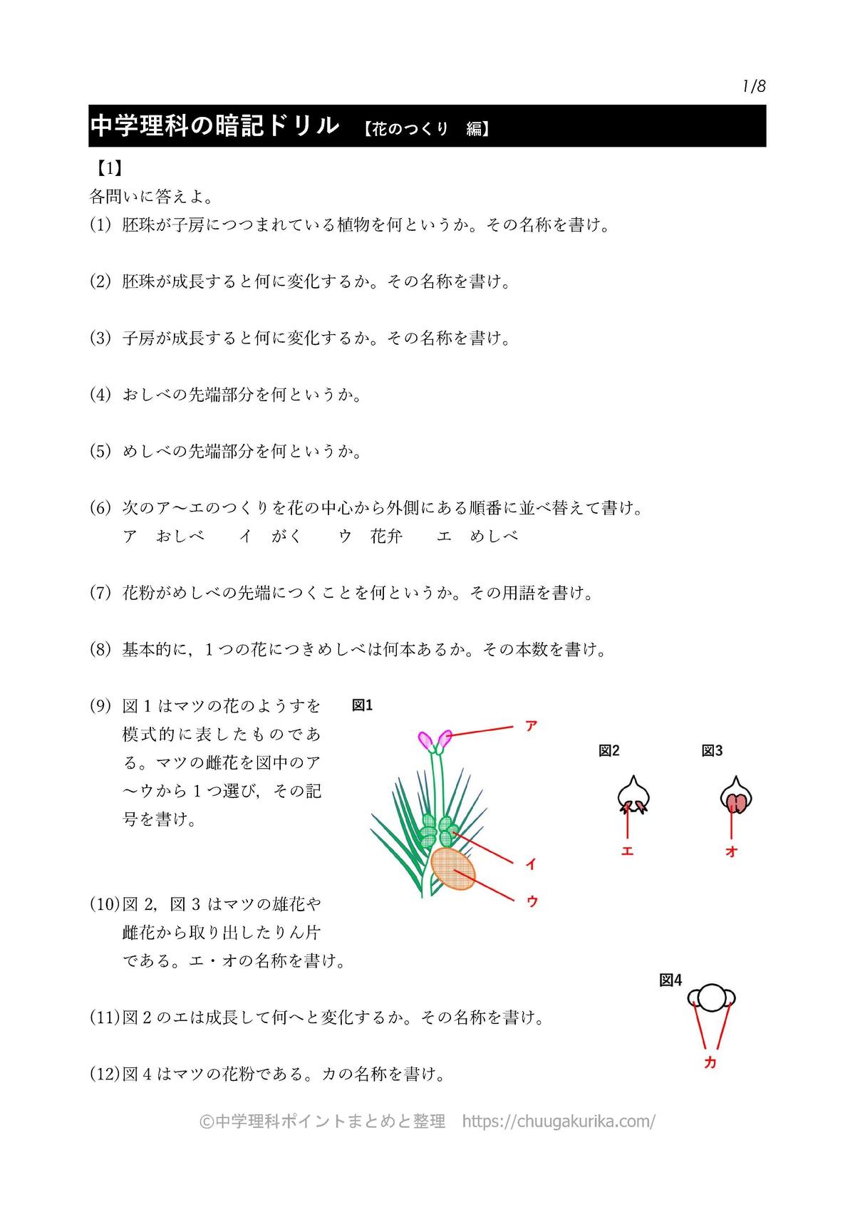 Pdf 花のつくり 被子 裸子 の暗記ドリル 中学理科ポイントまとめと整理 オンラインショップ