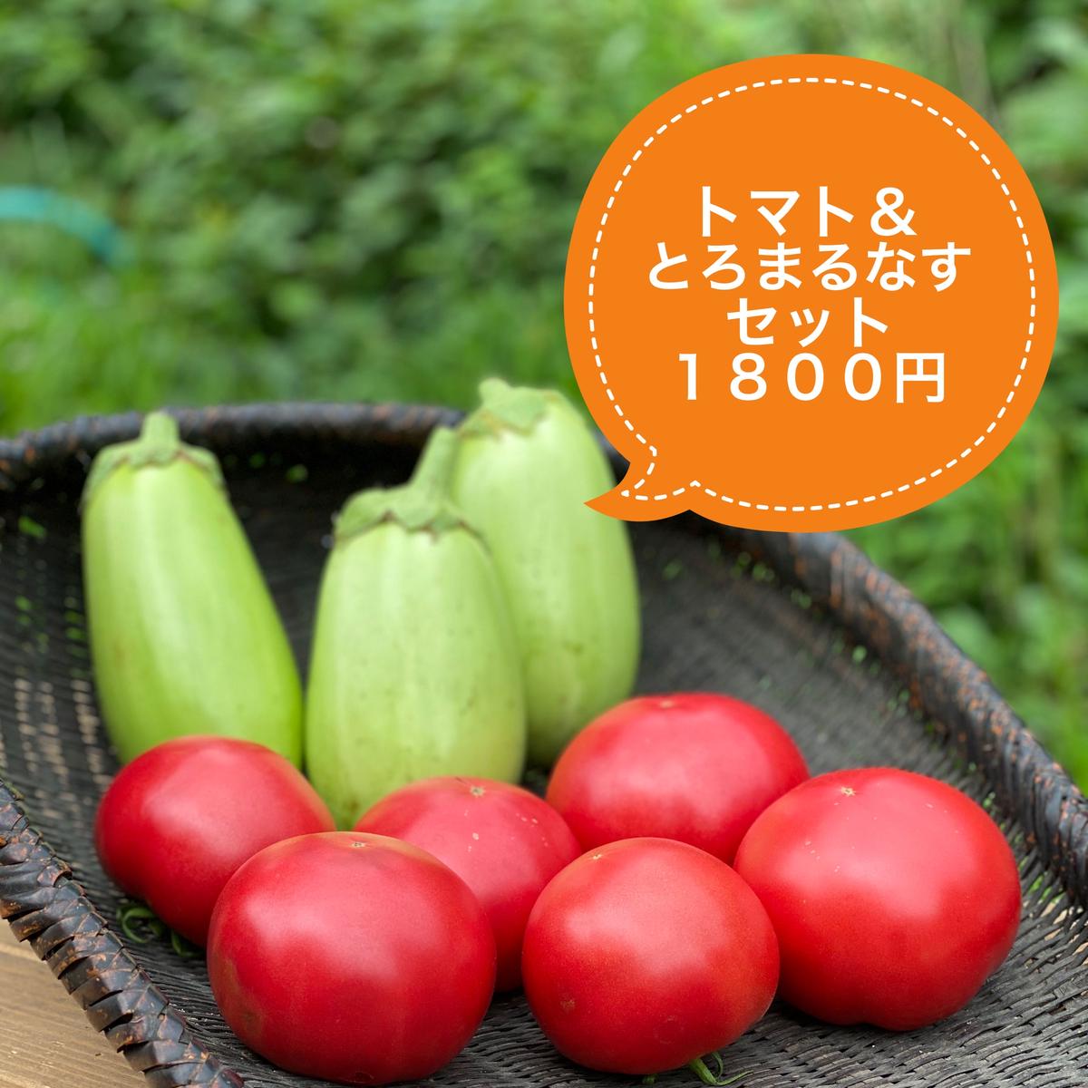トマト とろまるなす セット 京都小林ふぁーむ