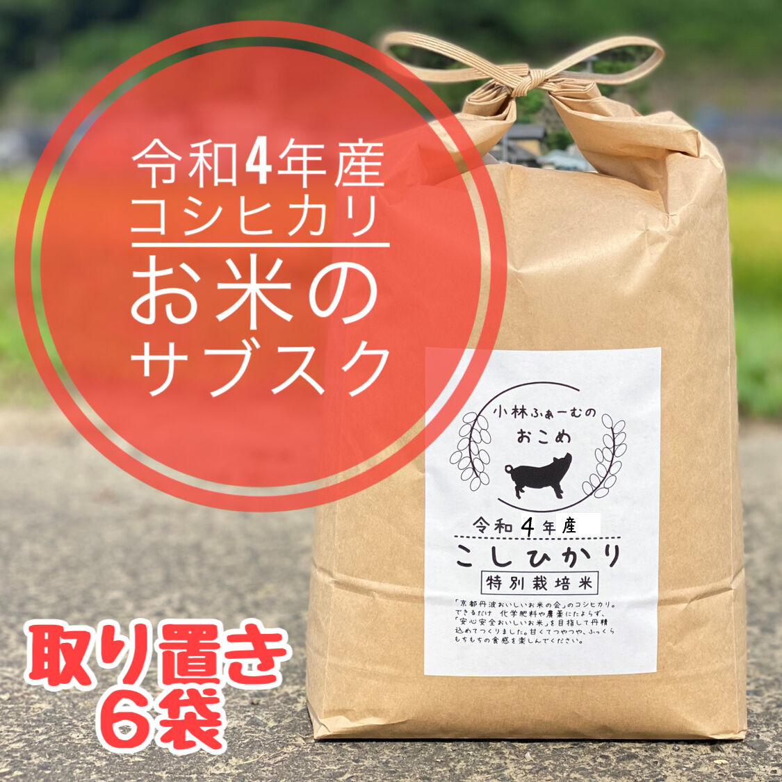 農家直販 嬉野のお米 玄米30kg