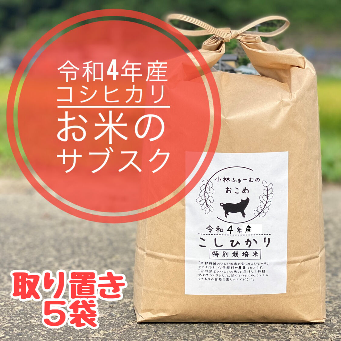 受付終了‼︎ コシヒカリ 新米 30キロ 玄米