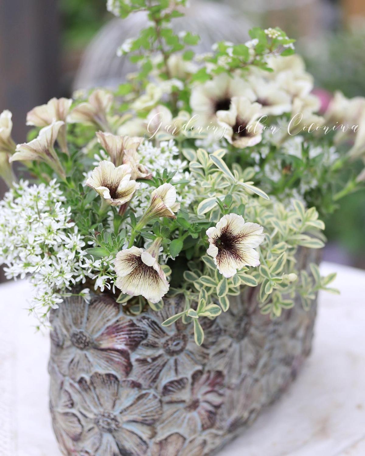 爽やかなイエローグリーンのブリコラージュフラワー Coconiwa