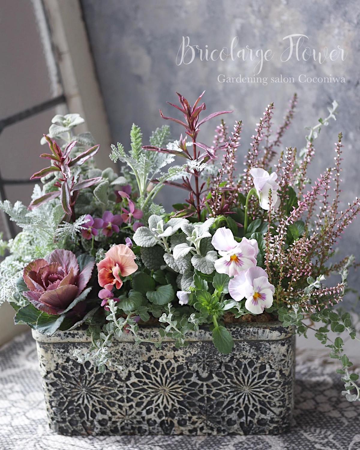 フリルパンジーシエルブリエと極小ビオラ多摩の星空の寄せ植えブリコラージュフラワー Coco フリルパンジーシエルブリエと極小ビオラ多摩の星空の寄せ植えブリコラージュフラワー Coco