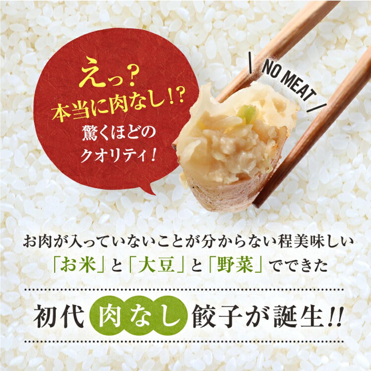 送料込 グルテンフリー 米粉皮の餃子 肉不使用 40個 チャオチャオ コネクト大阪