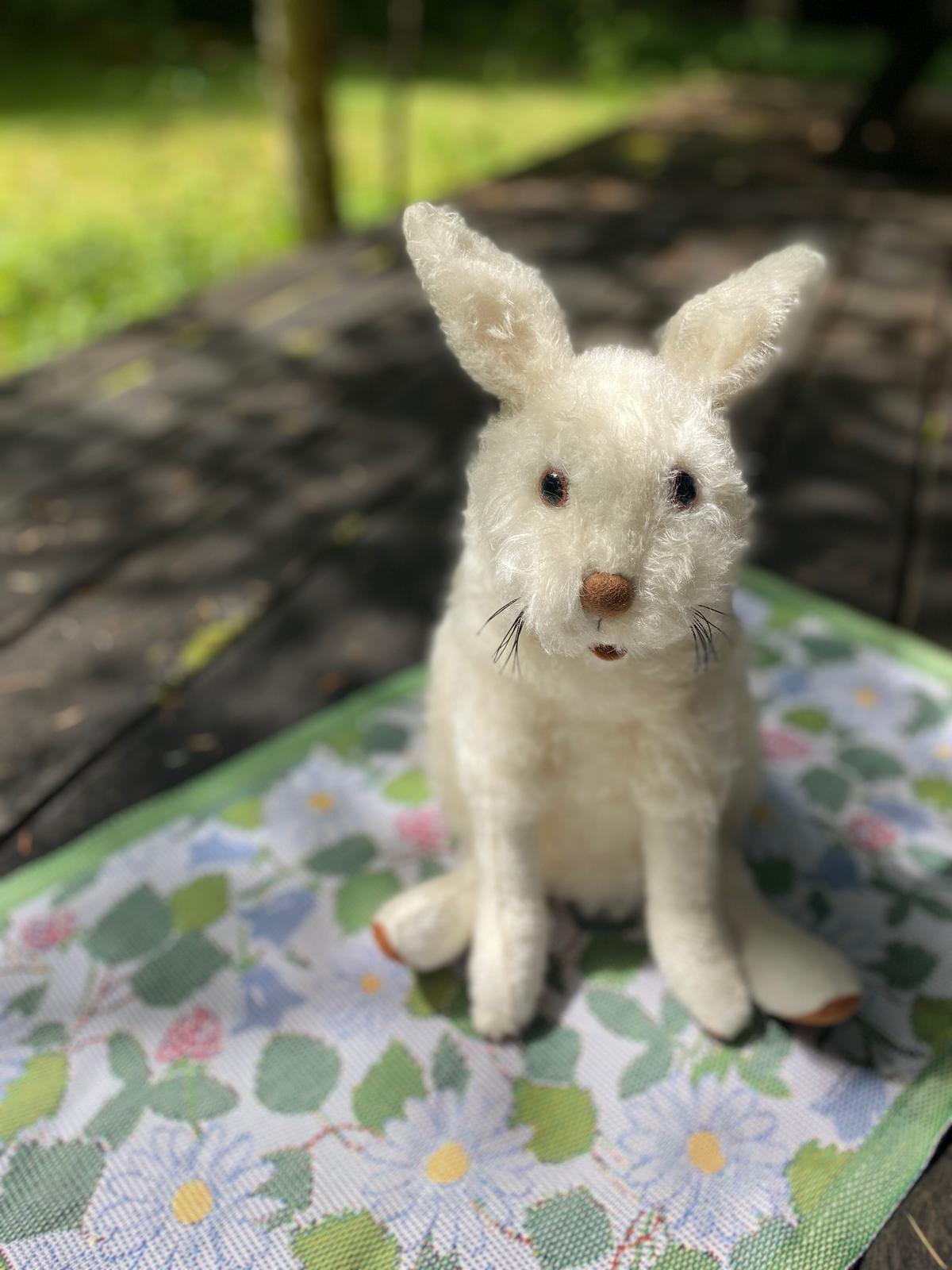 バーレーベンどうぶつ手人形 うさぎのワルダマール ラッピング不可 オリジナルペーパーバック付