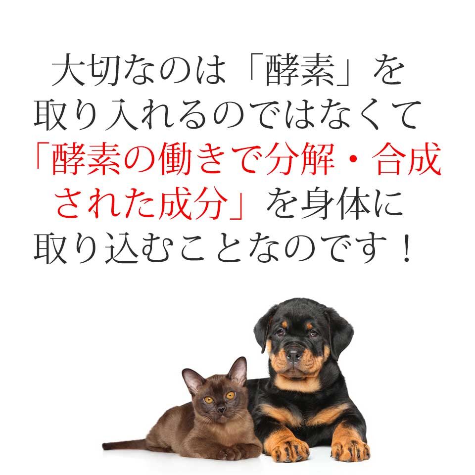 大高酵素植物発酵エキス スーパーワンにゃん 100ml X 1本から5本 Pet Vita