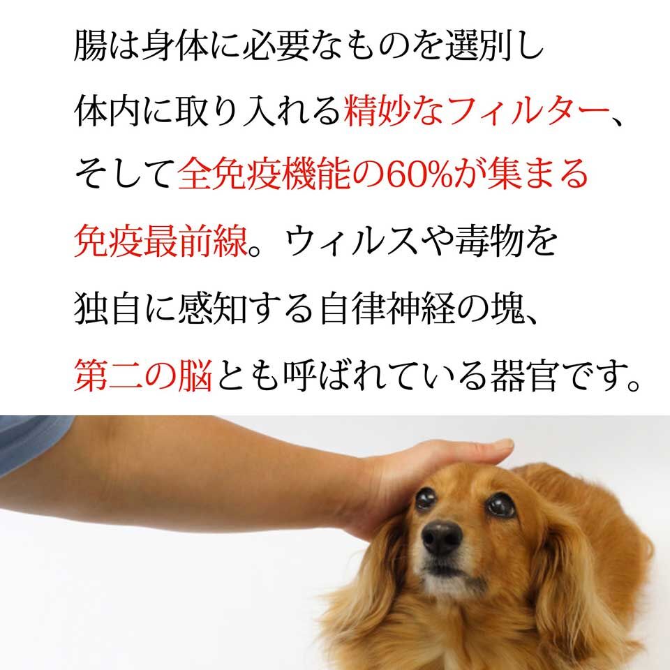 大高酵素植物発酵エキス スーパーワンにゃん 100ml X 1本から5本 Pet Vita