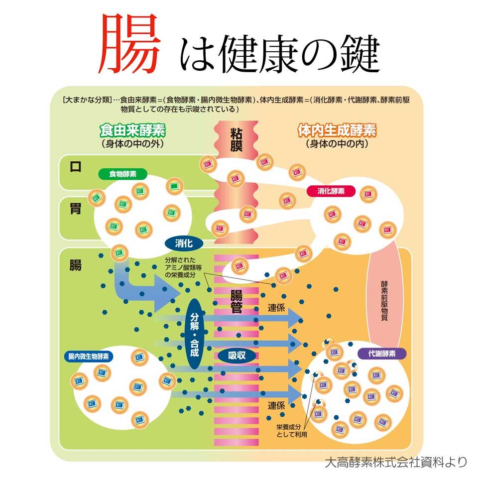 大高酵素植物発酵エキス スーパーワンにゃん 100ml X 1本から5本 Pet Vita