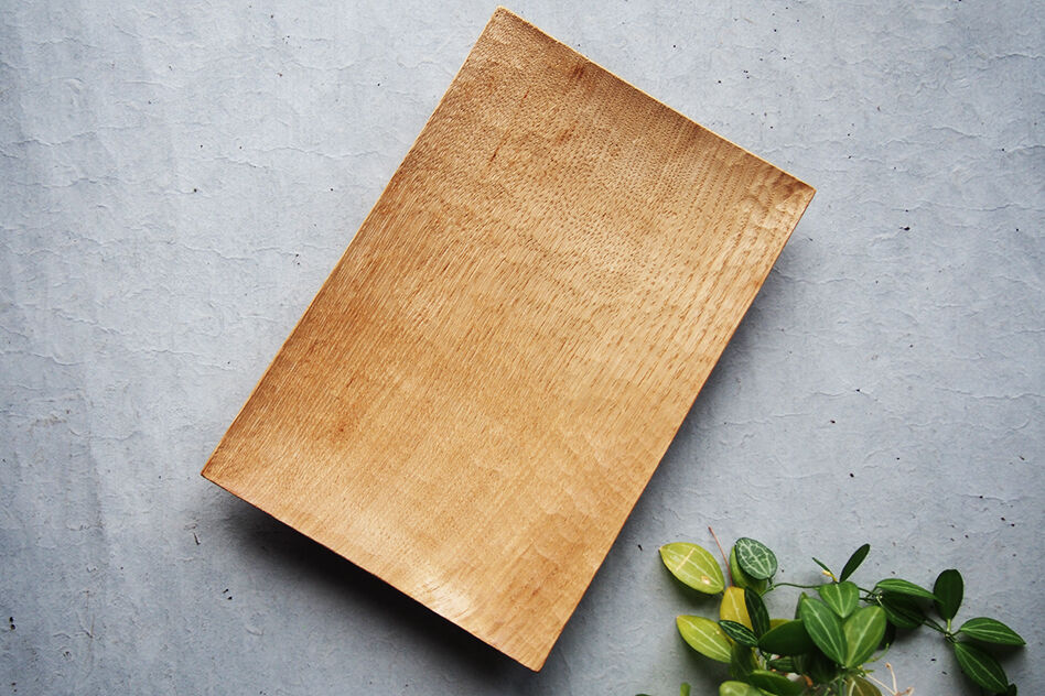 完売 杉村徹 角皿 2枚 食器 - education.semel.ucla.edu