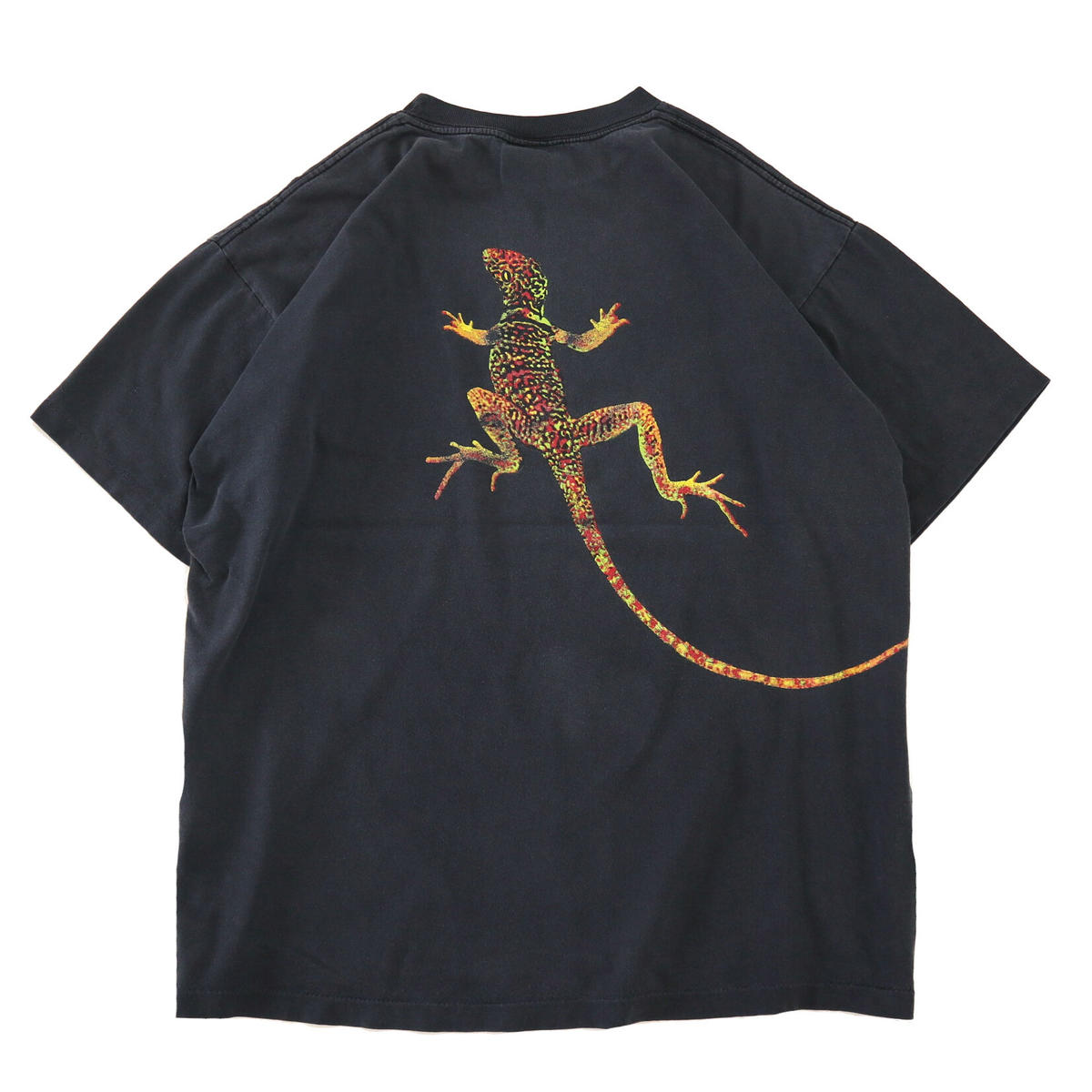 変革のパワーを授ける・願望成就 『入手困難』Marlboro リザード