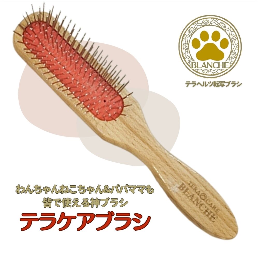 中古】Tera Brush テラブラシ（テラブラシ）
