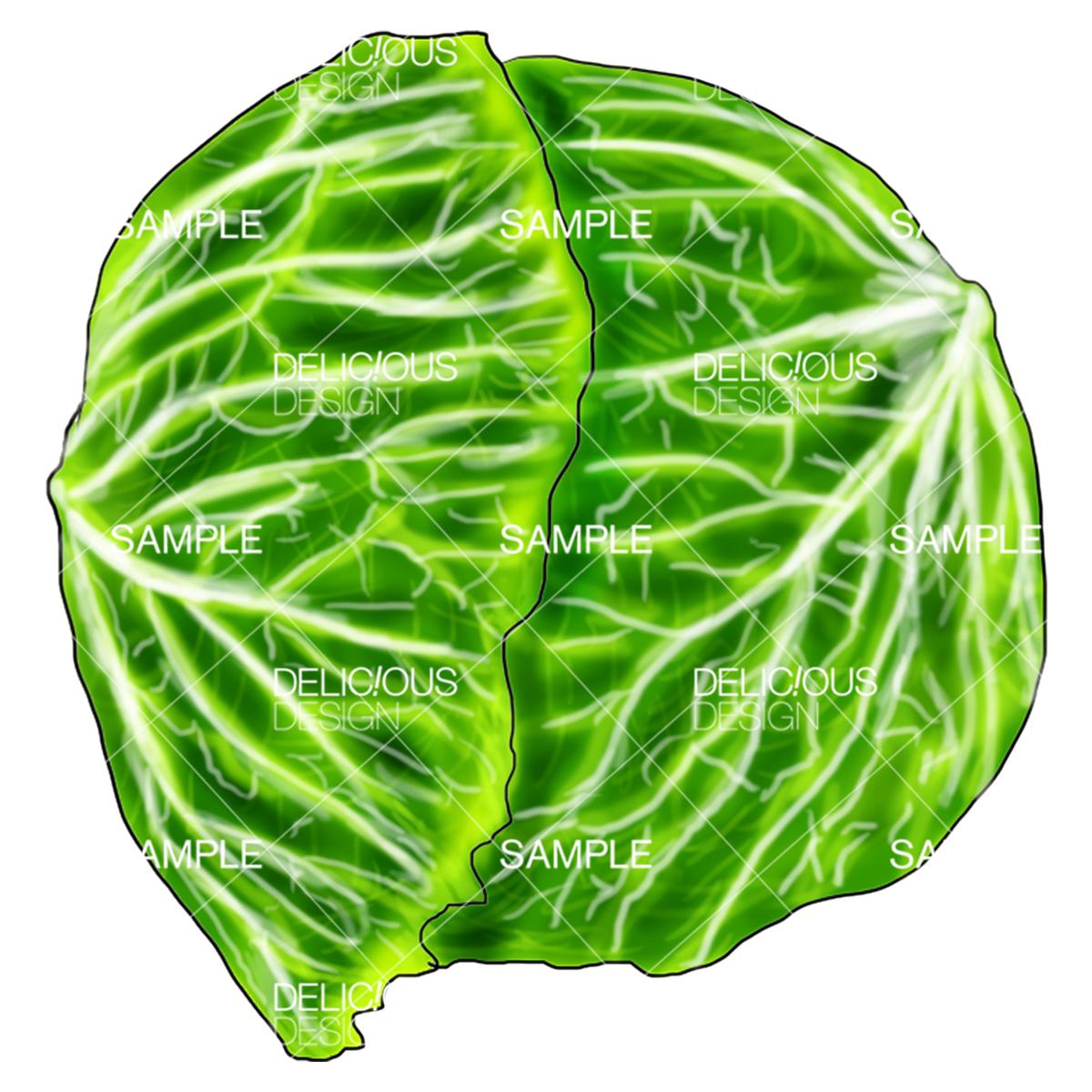 キャベツ 料理イラスト 料理イラスト商店