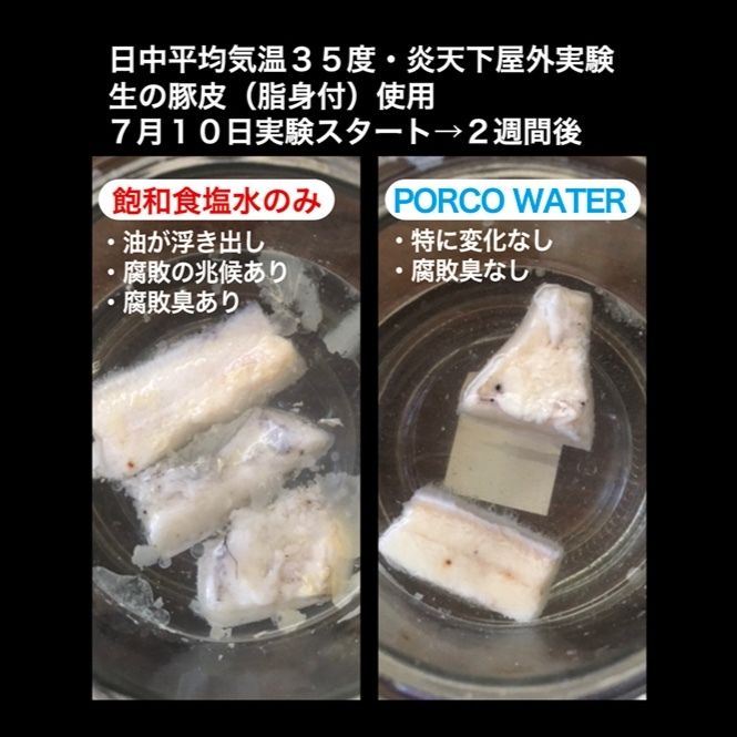 Porco Water ポーク保存液 Depp Tokyo