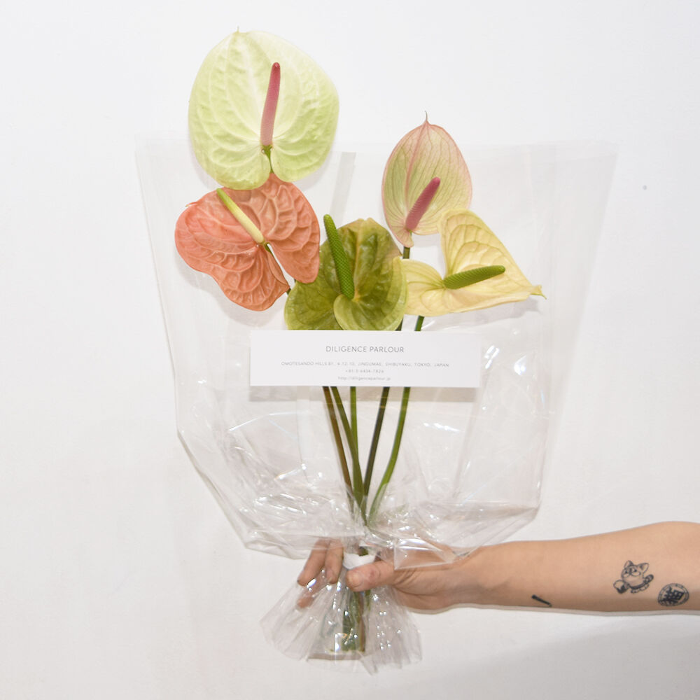 3 000 Anthurium Bouquet Diligence Parlour