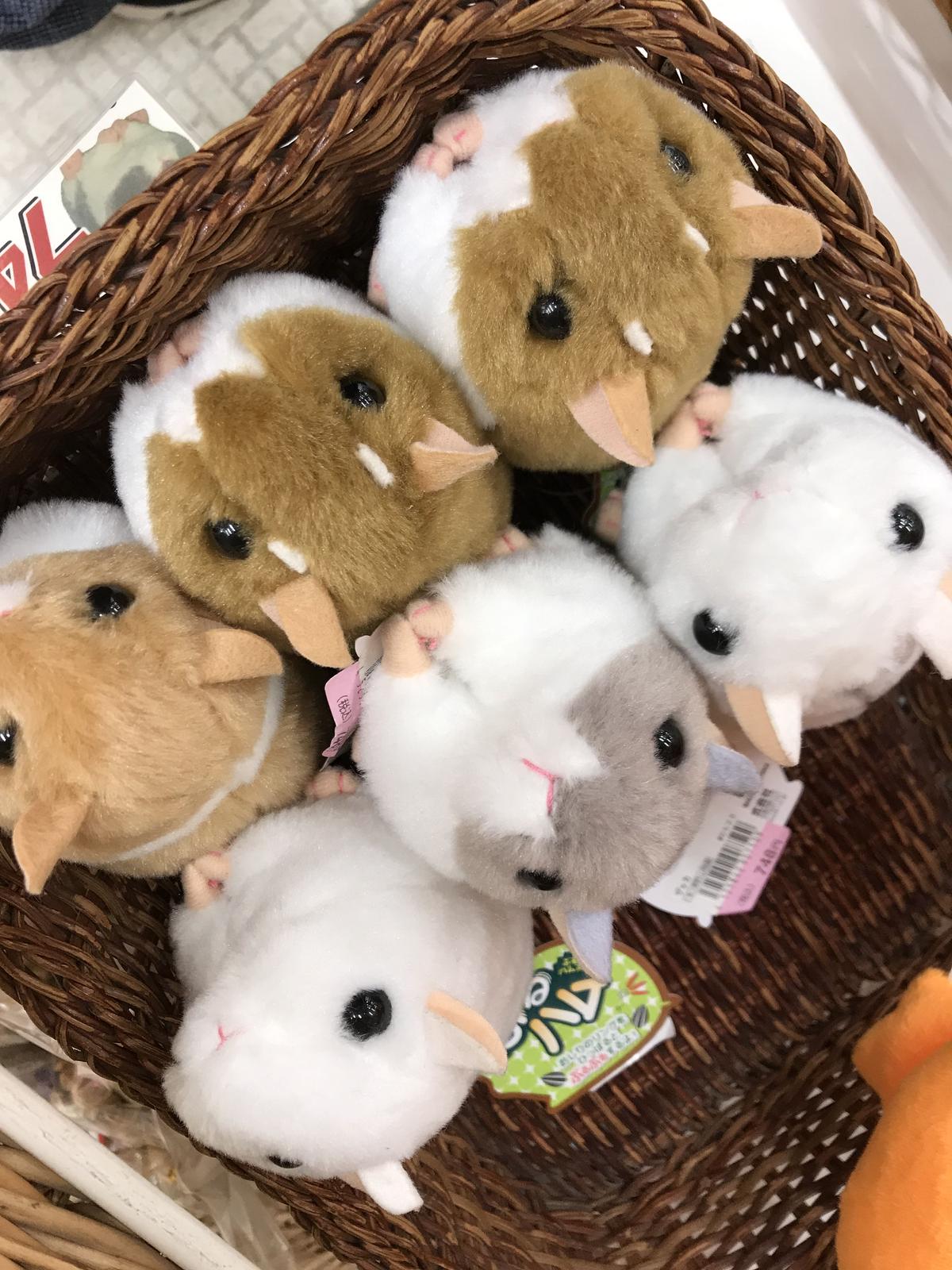 ぶるぶるハムスター ぶるハム 道後お土産センター 絣屋本店 絣屋支店