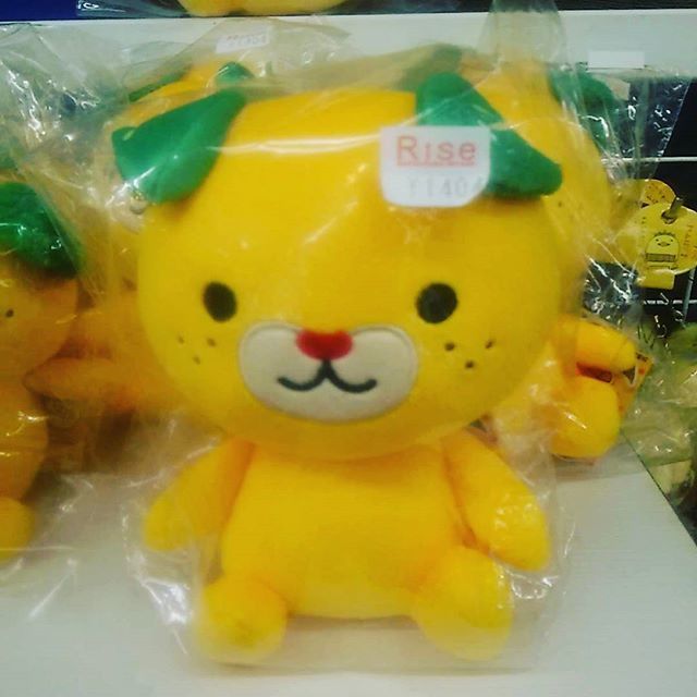 みきゃんぬいぐるみ 小 約15 5センチ 道後お土産センター 絣屋本店 絣屋支店