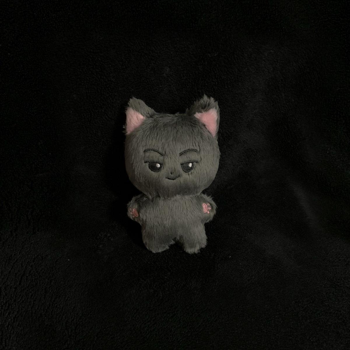 ENHYPEN - 未使用 enhypen ジェイ 10cmドール ぬいぐるみ 黒猫 ENHYPEN - 未使用 enhypen ジェイ 10cmドール ぬいぐるみ 黒猫