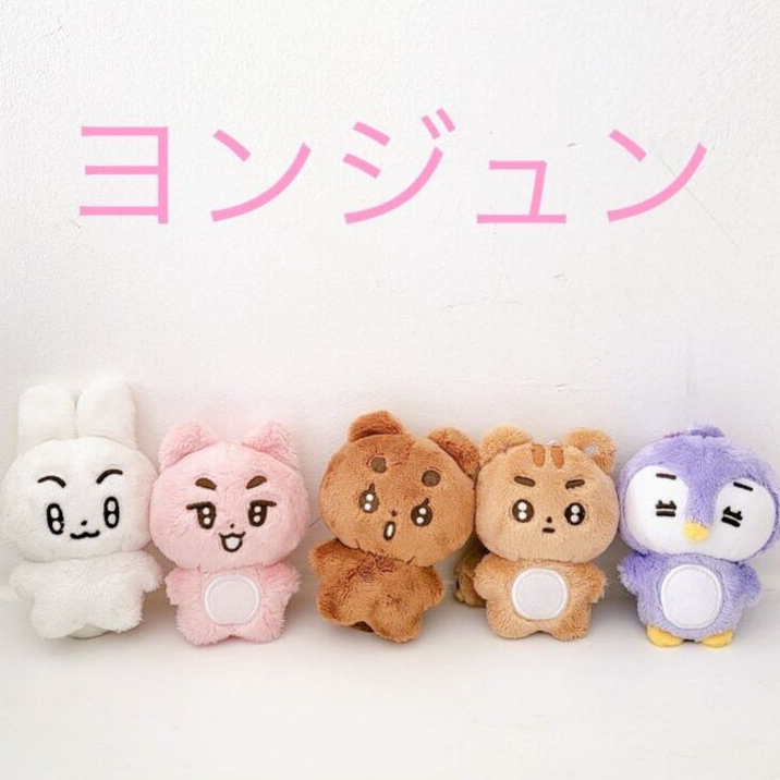 TXT ヨンジュン ドール TXT ヨンジュン cat&dog ぬい ドール 人形 18cm - メルカリ