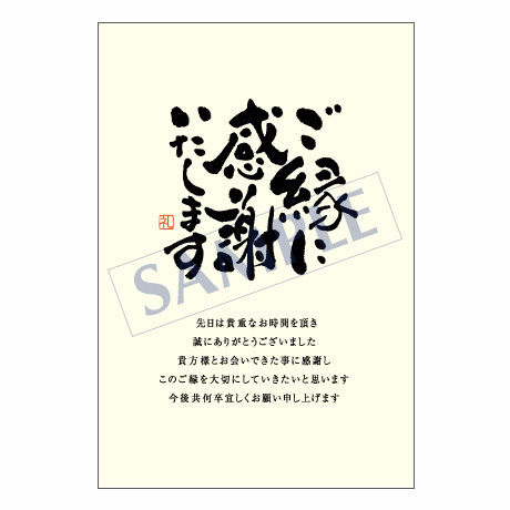 メッセージカード 出会い 感謝 お祝い ご挨拶 06 0163 1セット 10枚 ダグ