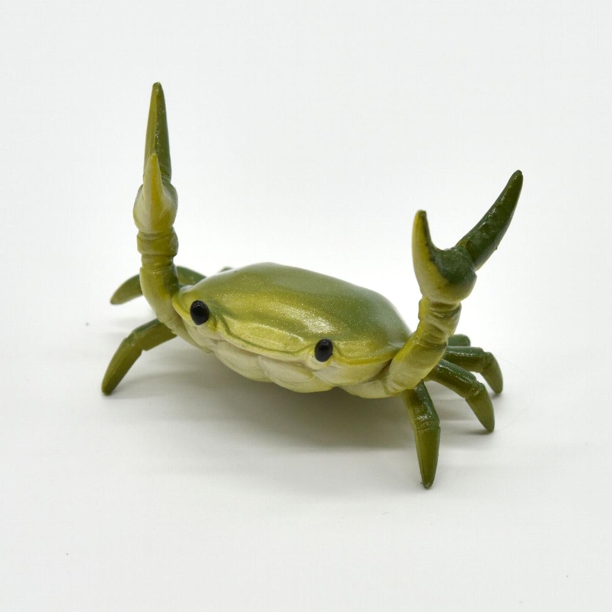 カニペンホルダ 緑 アーニトル エビとカニの水族館 公式通販