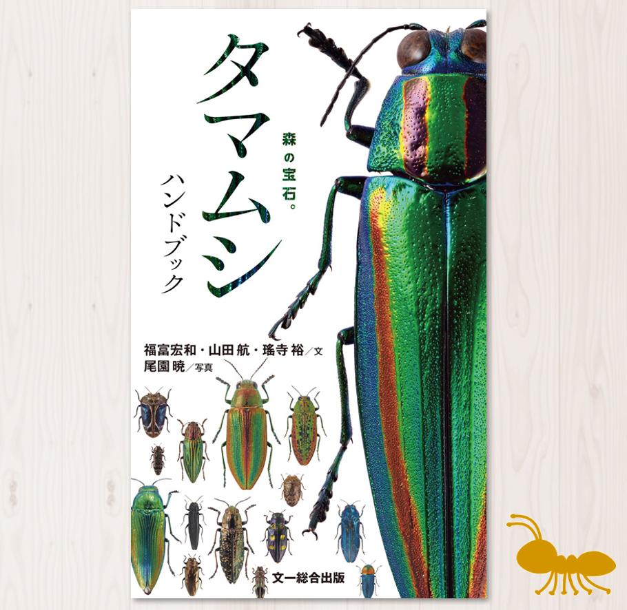 タマムシ ハンドブック | 自然探偵屋