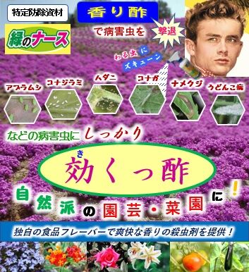 効くっ酢 特定防除資材 2本セット Eco1ショップ 効くっ酢 特定防除資材 2本セット Eco1ショップ