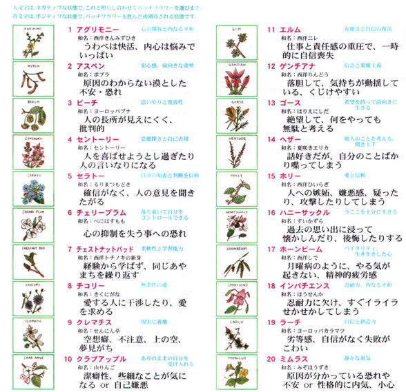 バッチフラワーレメディ38種類 Atelier F アトリエエフ