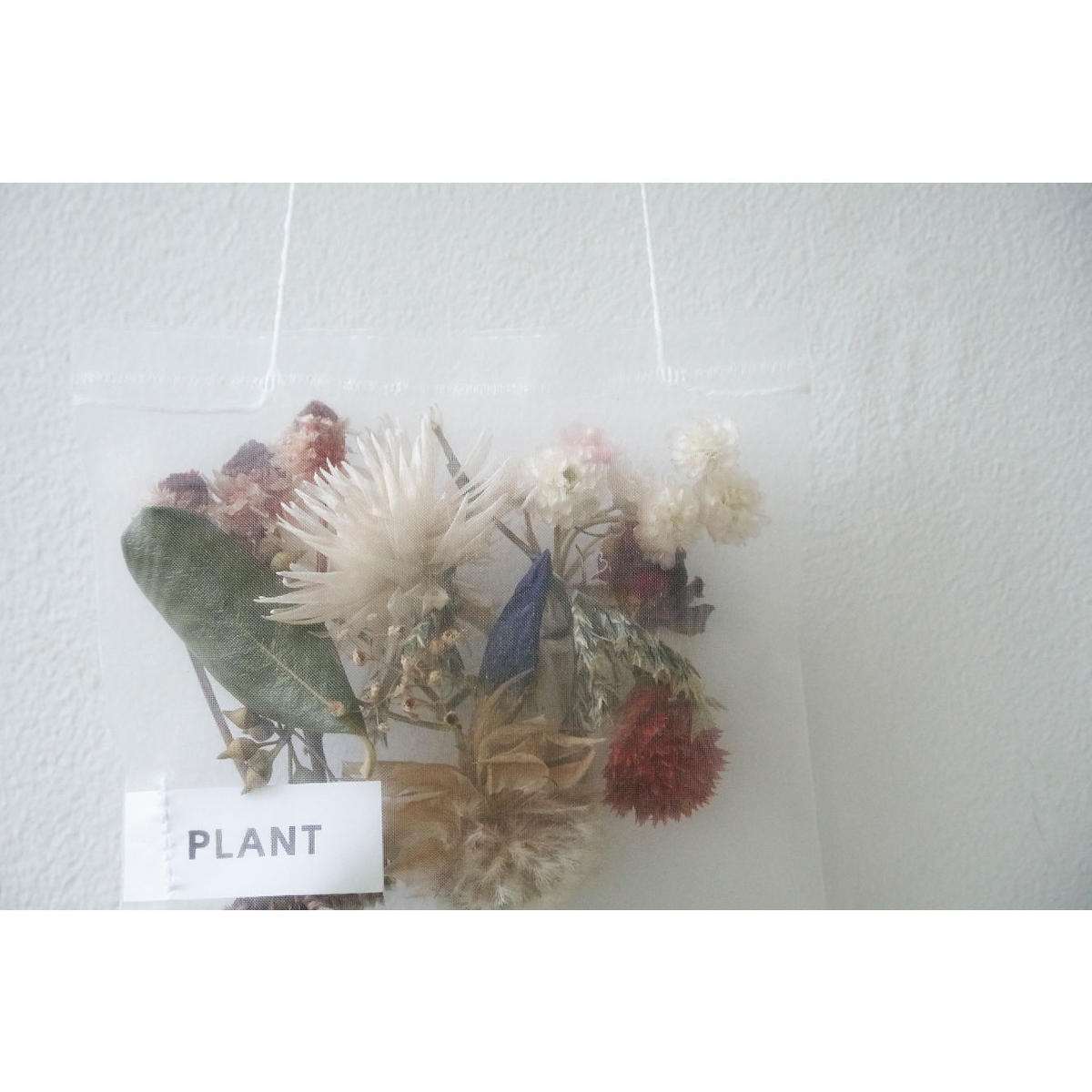 Pot Pourri 紐付き Edenworks