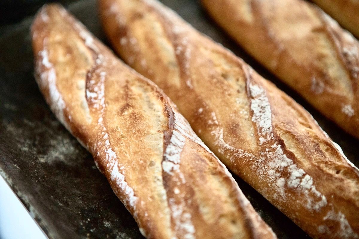 低温熟成バゲット 全国配送 Hayama Bread Club