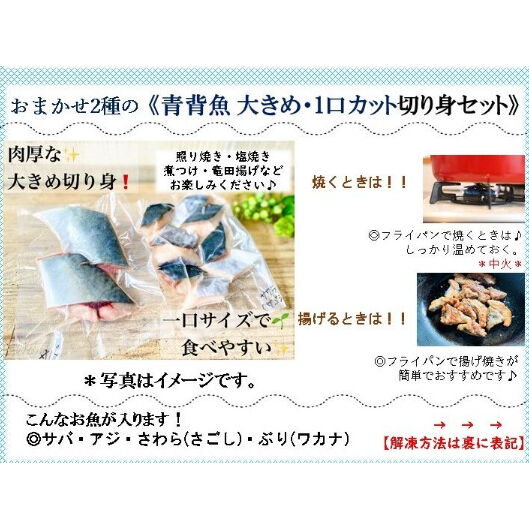 No 008 おまかせ2種 青背魚大きめ 1口カット切り身セット 2切れ 2パック Es