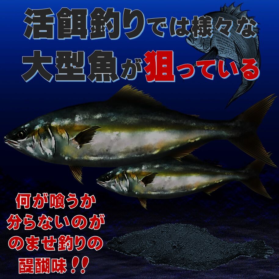 ヒラメ釣り ヒラメ 仕掛け ダブル ワイヤーハリス トレブルフック ワイヤー 直径0 39m
