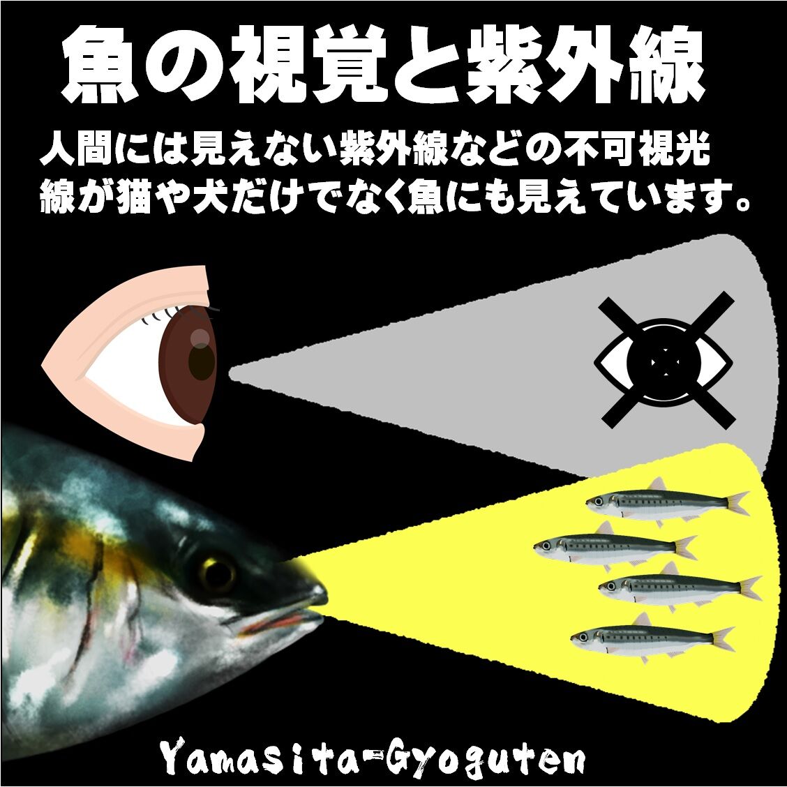 ケイムラコンビ小魚 極細ワイヤー0 39mm cm ムツ19号 接続部スナップサルカン 五