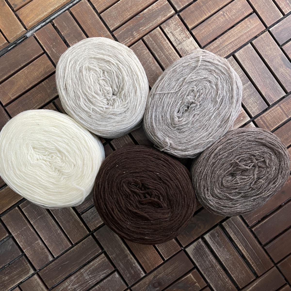 Wool Dreamers Manchelopis 【店舗発送】 EYLUL yarns