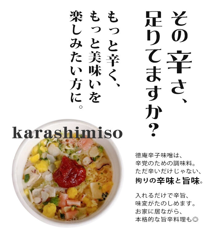 市場 徳庵 唐辛子みそ チューブパウチ 詰め替え 辛子味噌 とうがらし味噌 500g 一味唐辛子