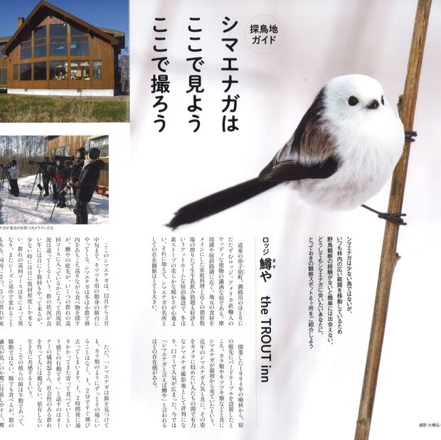 Faura ファウラ 63号 21 4 25発行 Faura Store