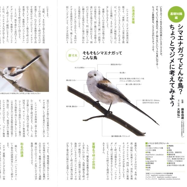 Faura ファウラ 63号 21 4 25発行 Faura Store