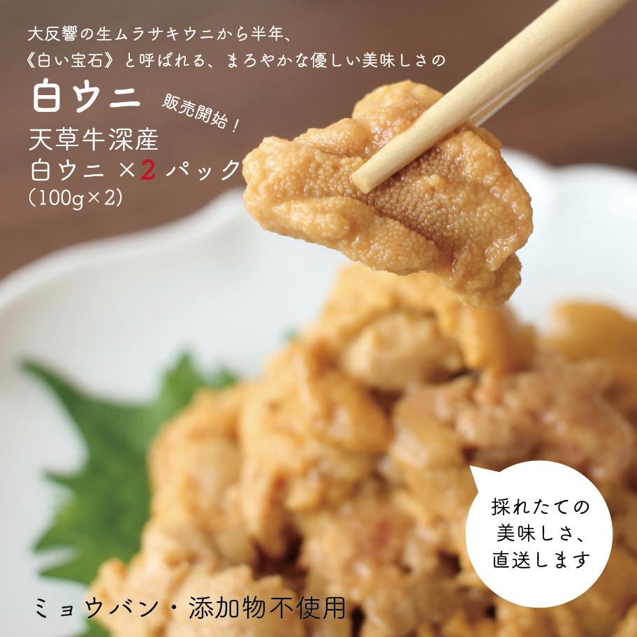 熊本牛深直送 白い宝石 とも呼ばれる 生白ウニ 100g 2個 Fireshueda 熊本牛深直送 白い宝石 とも呼ばれる 生白ウニ 100g 2個 Fireshueda