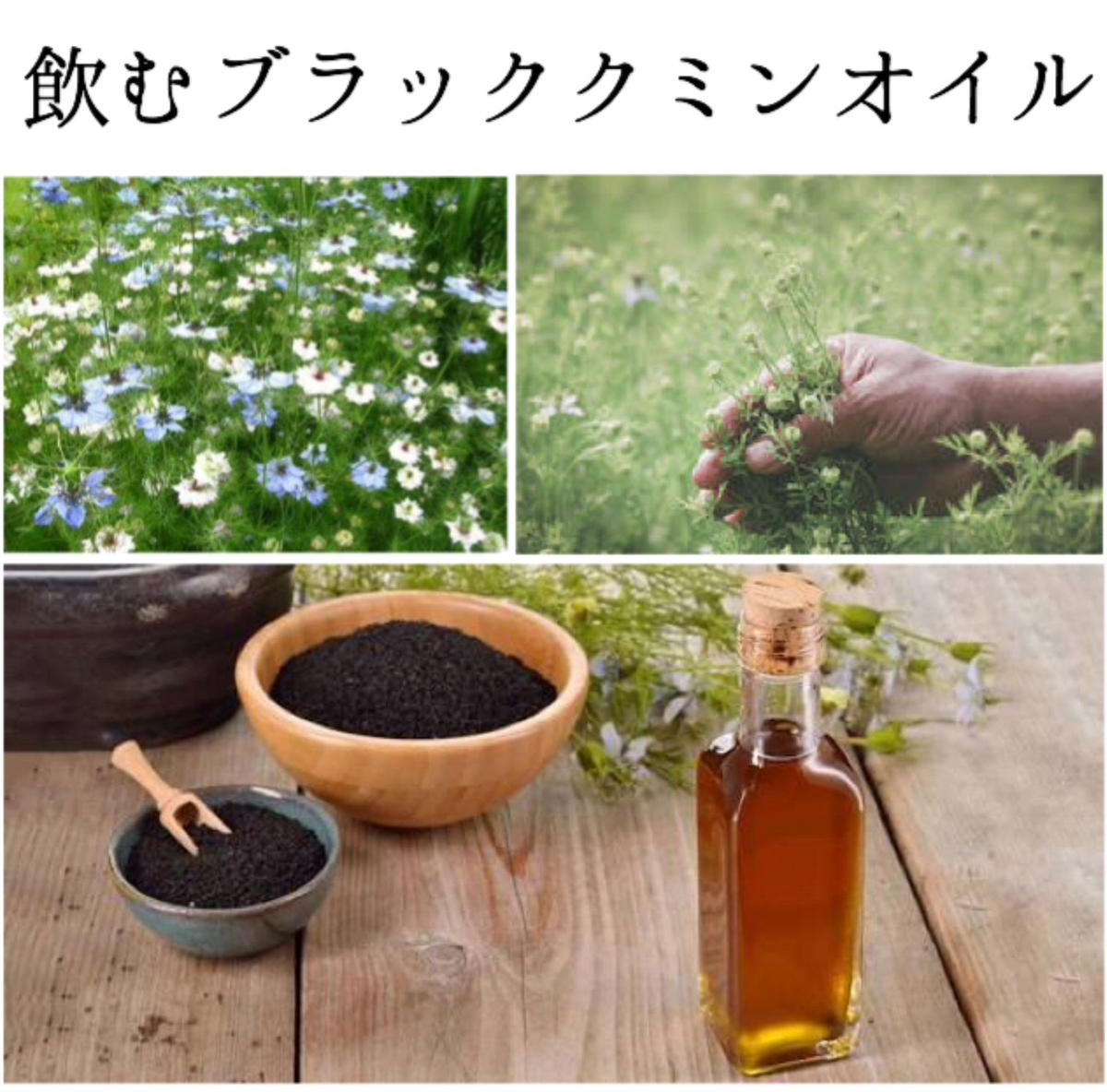 現品限り一斉値下げ ブラッククミンシードオイル 500mg 60粒 約30日分 Flora Laboドイツ産 バイオダイナミック農法 コールドプレス エキスト Discoversvg Com