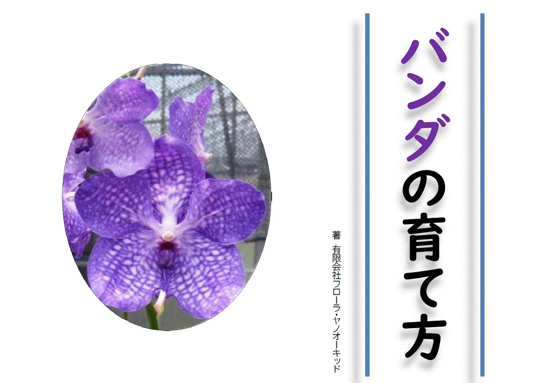 バンダの育て方 製品版 フローラ ヤノオーキッド