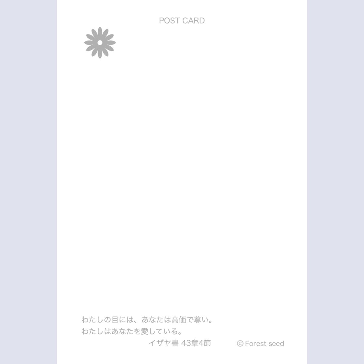 バースデーカード 3枚 Forest Seed S Store