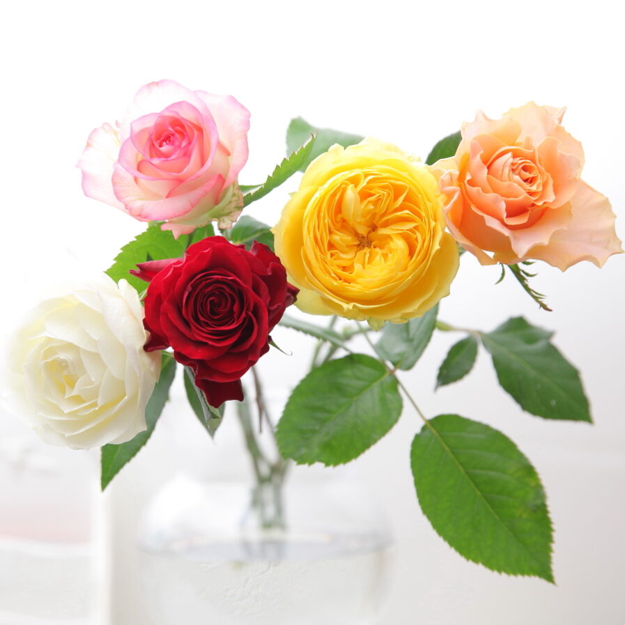 バラの押し花youtubeレッスン型紙ダウンロード版 Forever Love バラの押し花youtubeレッスン型紙ダウンロード版 Forever Love