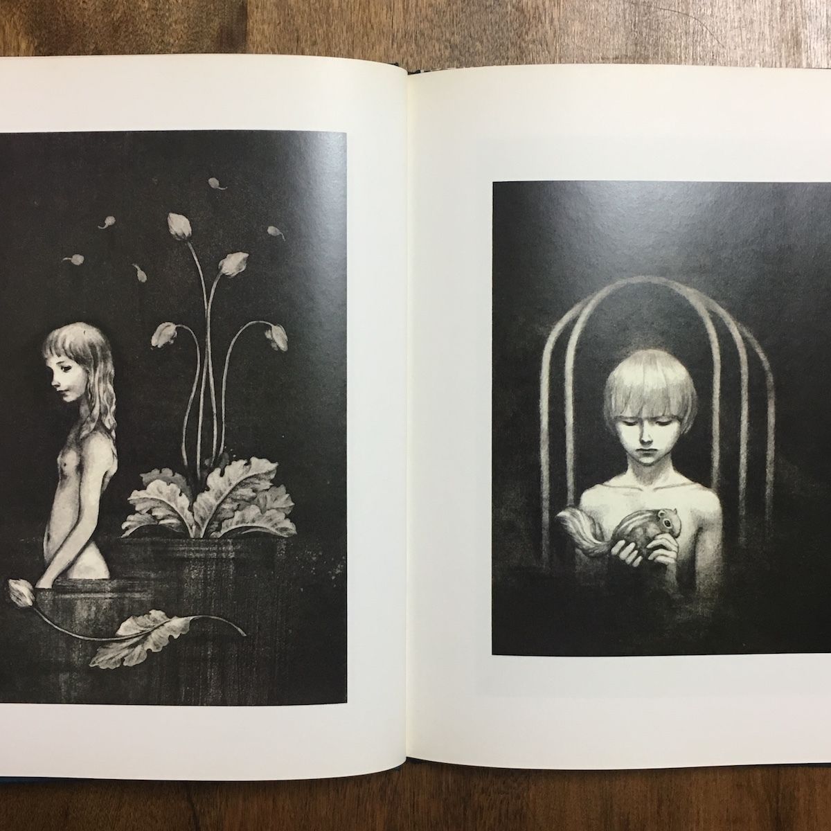 絶版 東逸子画集 アクエリアム フォルテ 絶版 東逸子画集 アクエリアム フォルテ