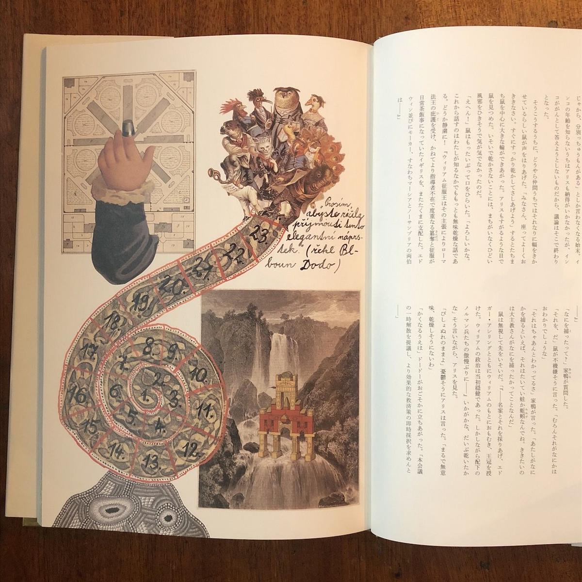 不思議の国のアリス ルイス キャロル ヤン シュヴァンクマイエル 画 Frobergue