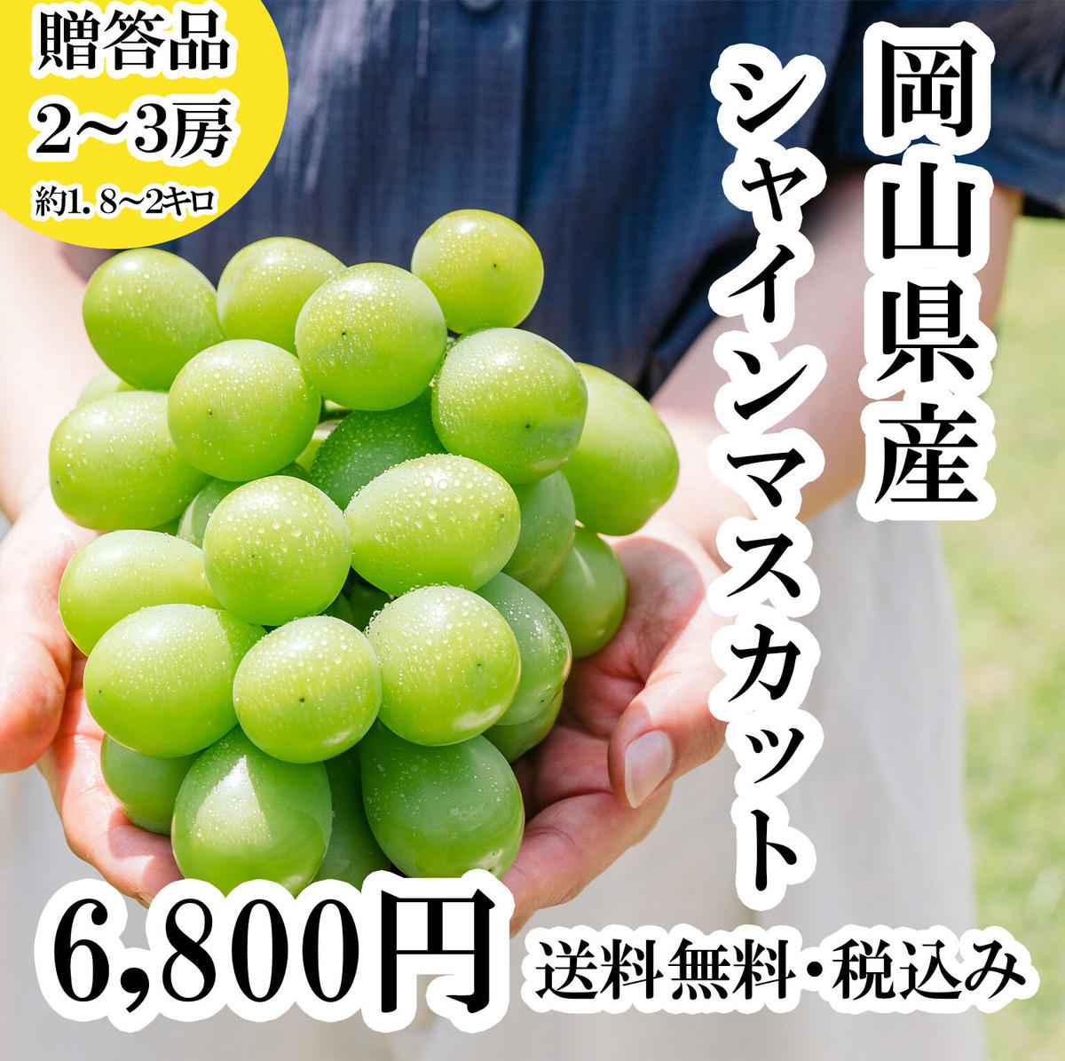 岡山県産シャインマスカット約2キロ