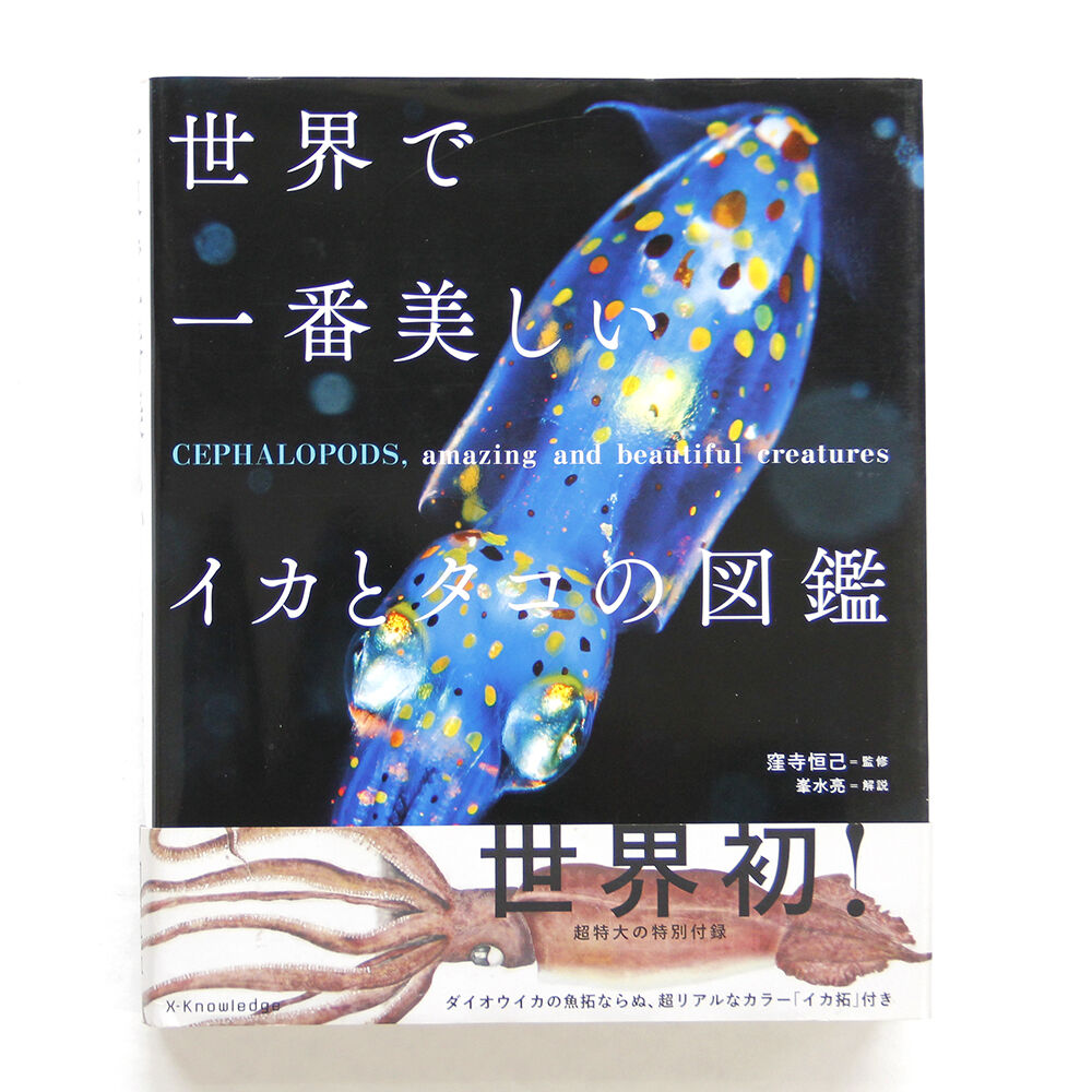 世界で一番美しいイカとタコの図鑑 Fugensha Store