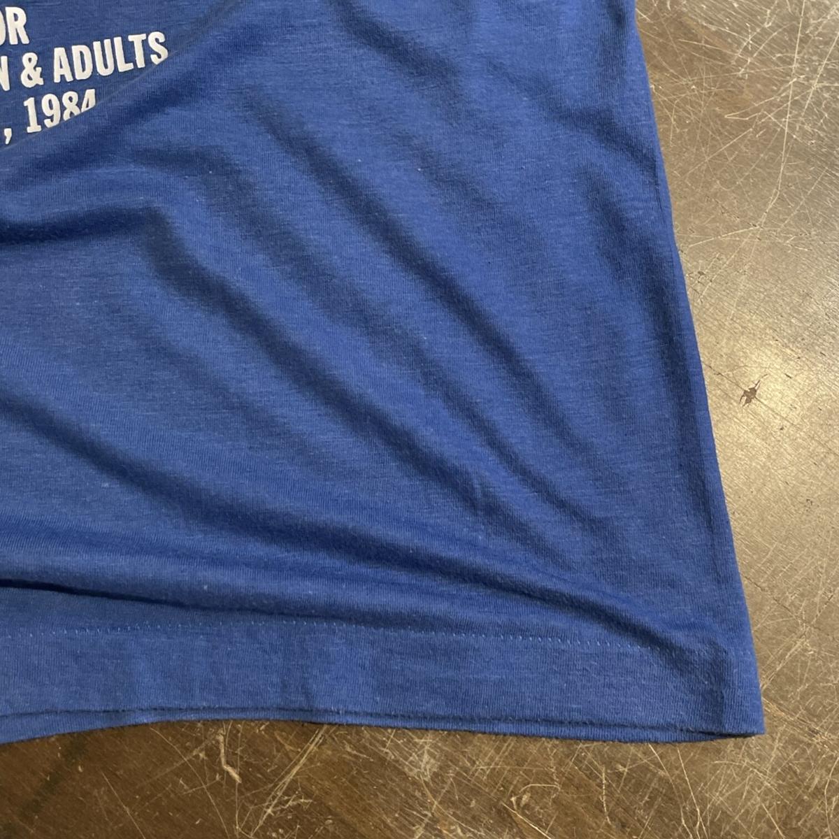 SCREEN STARS 80s プリントTシャツ シングルステッチ Lサイズ | 古着屋