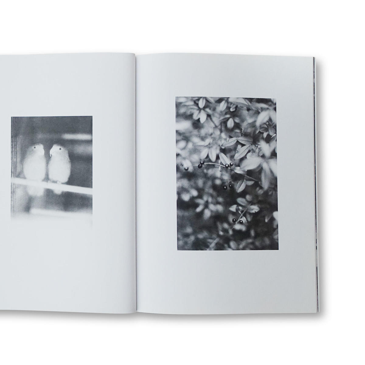 ヨハンレンペルトJochen Lempert