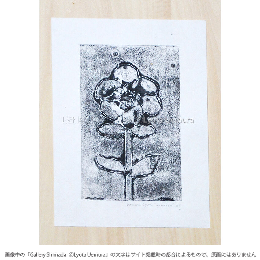 上村亮太 版画 Anemone No 1 Gallery Shimada Online