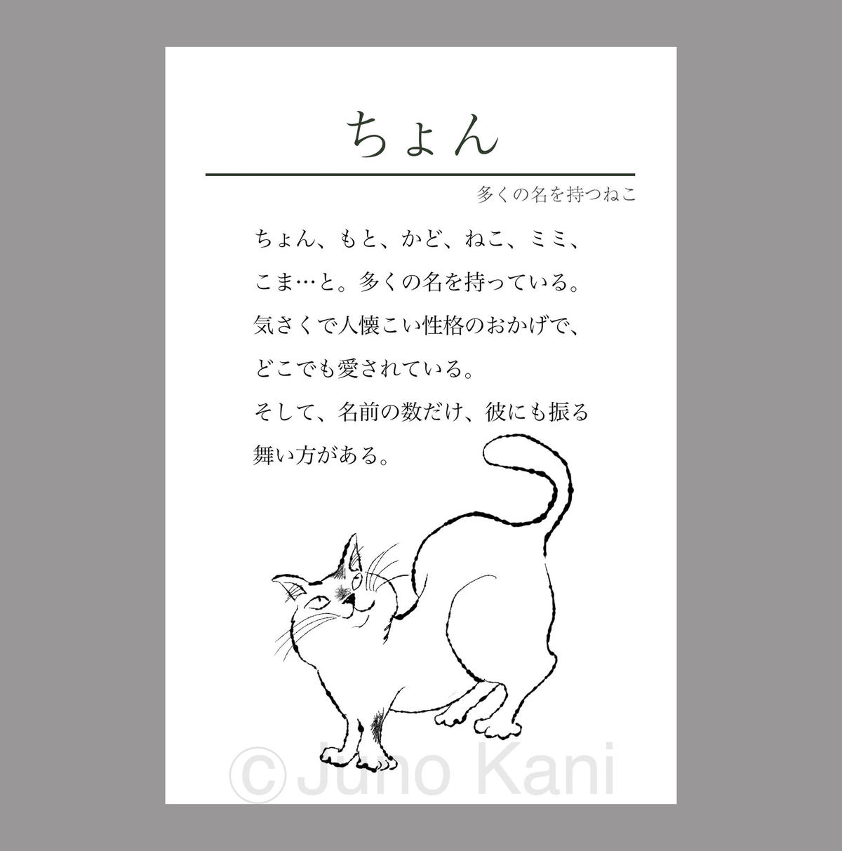 樹乃かに ちょん Gallery Necomachi On Line