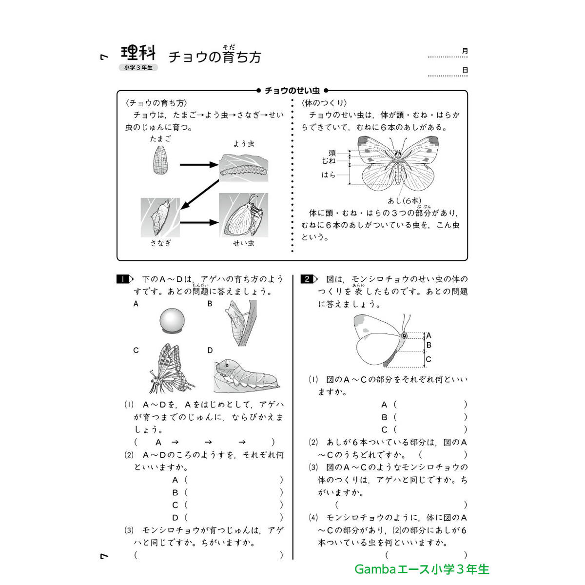小学3年生理科 1年間分 がんばる舎 Online Store