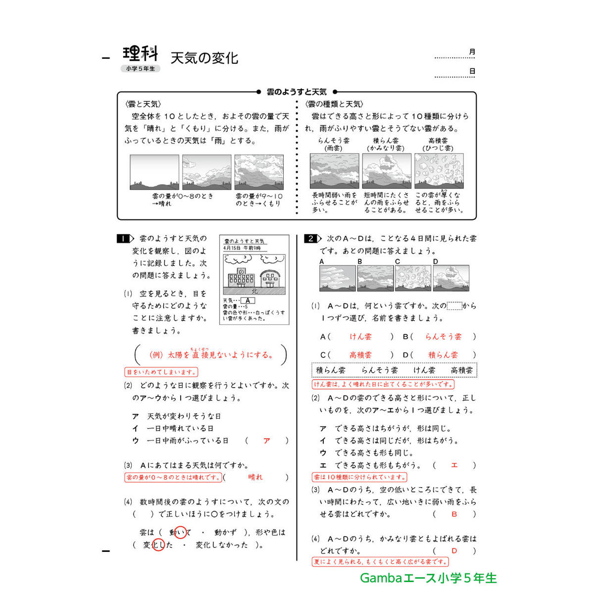 小学5年生理科 1年間分 がんばる舎 Online Store